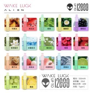 Wake Luck 外星人一次性拋棄式小煙12000口 10ml油倉 口味齊全